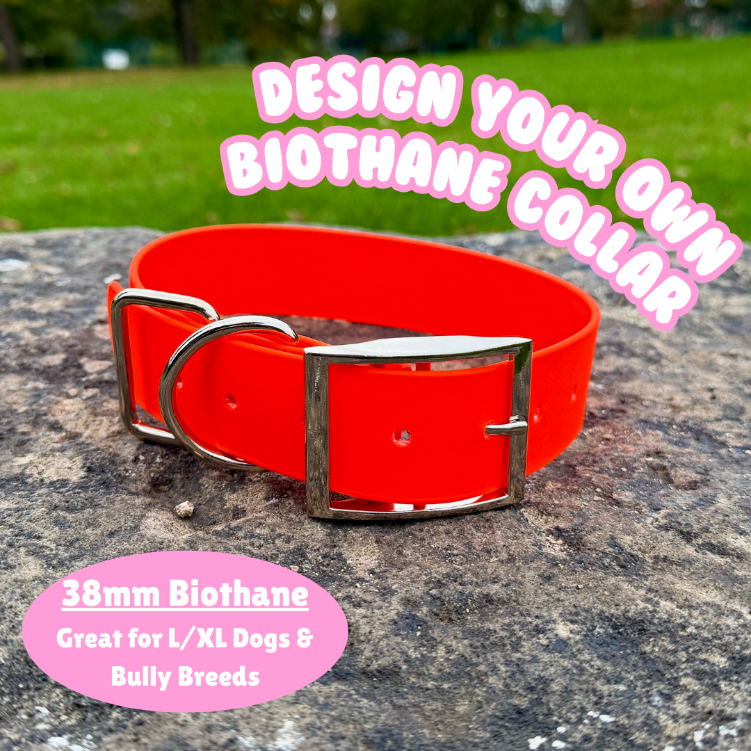 Design Your Own Chunky BioThane® Collar (38mm Width)