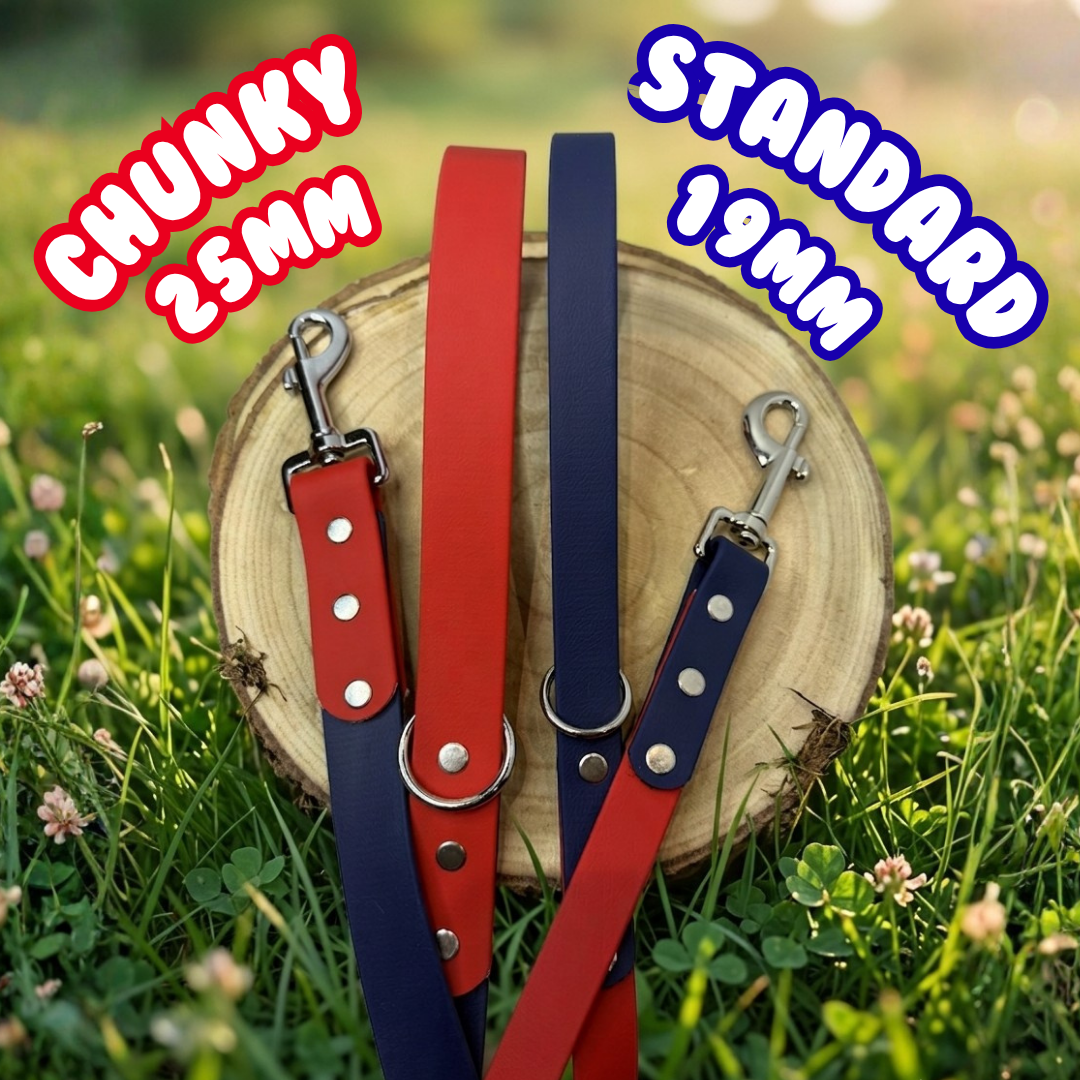 Dual Toned Waterproof BioThane® Dog Lead