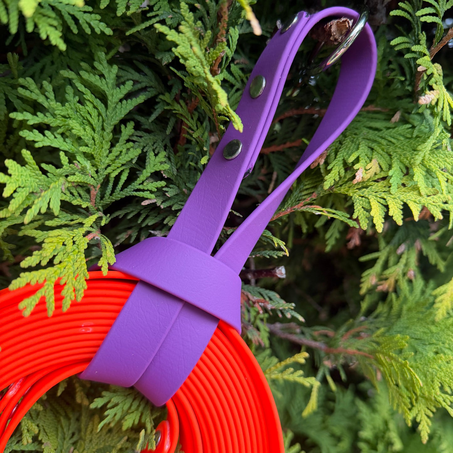 Biothane Long Lead 5m-10m