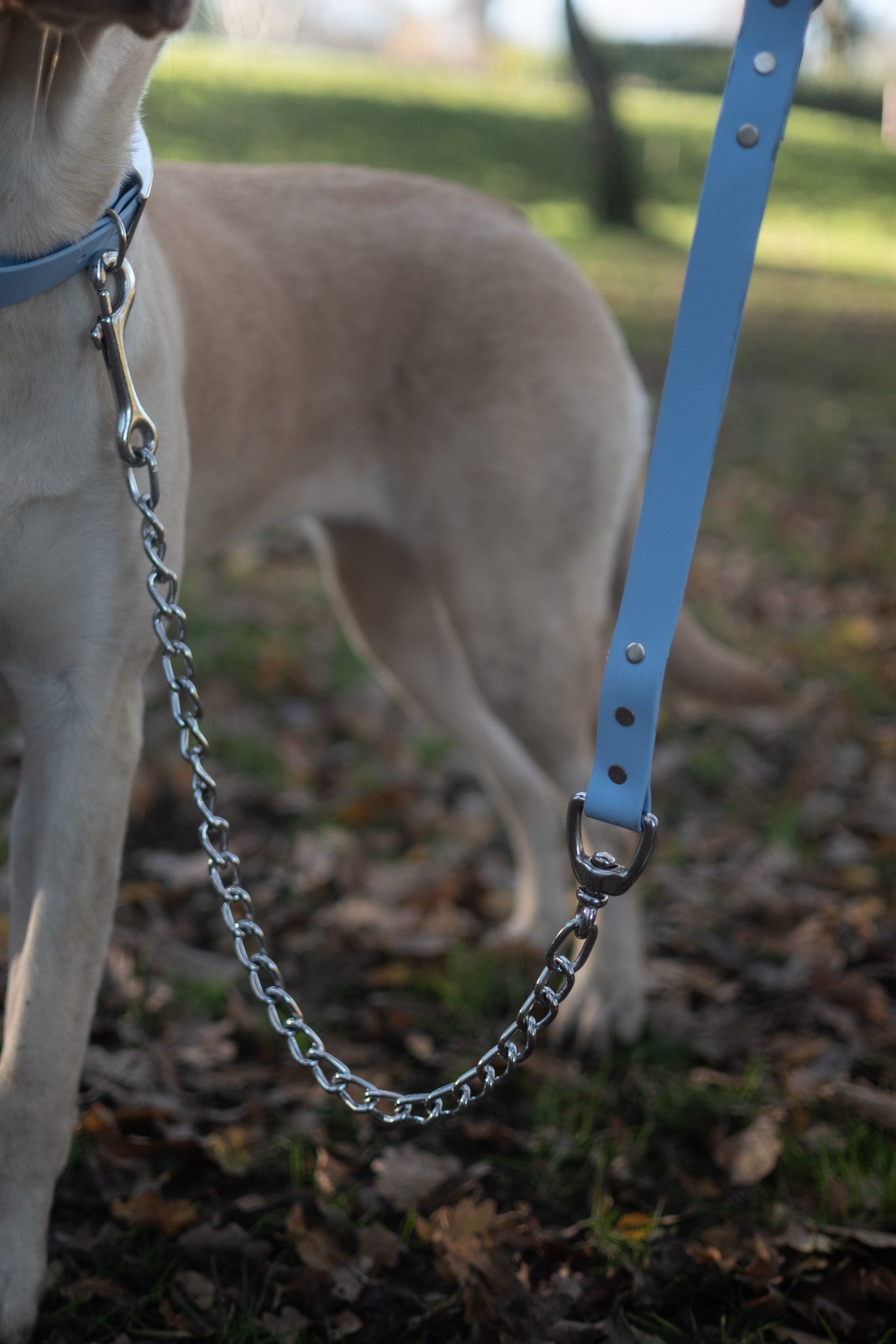 Chain Dog Lead with BioThane® Handle