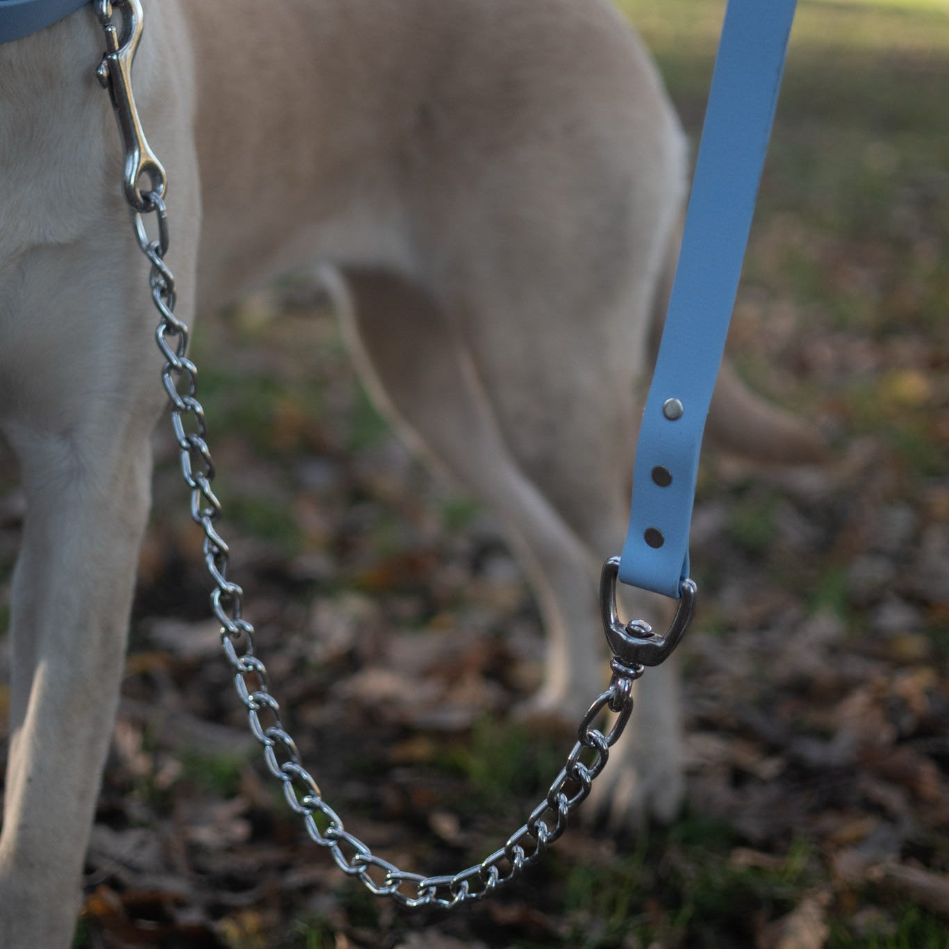 Chain Dog Lead with BioThane® Handle