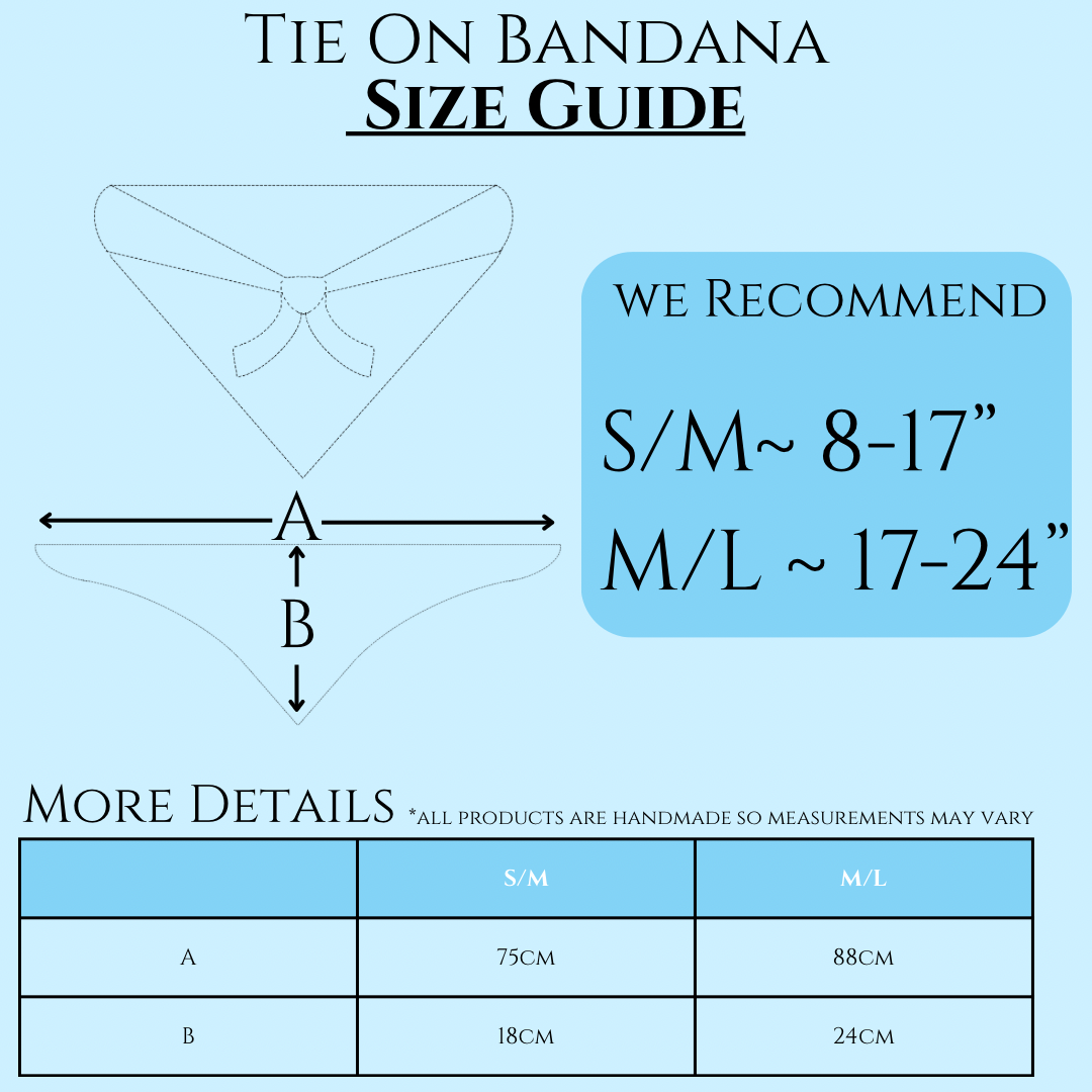 PADS X WAGS Limited Edition Collab