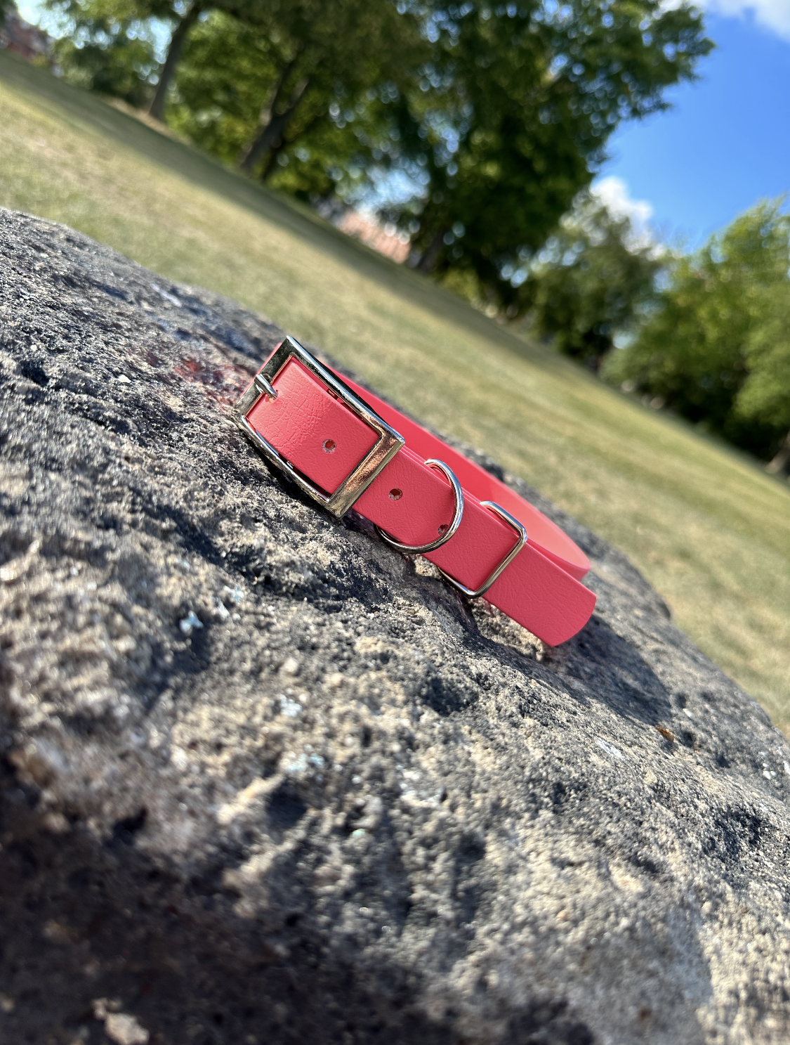 Waterproof BioThane® Collar