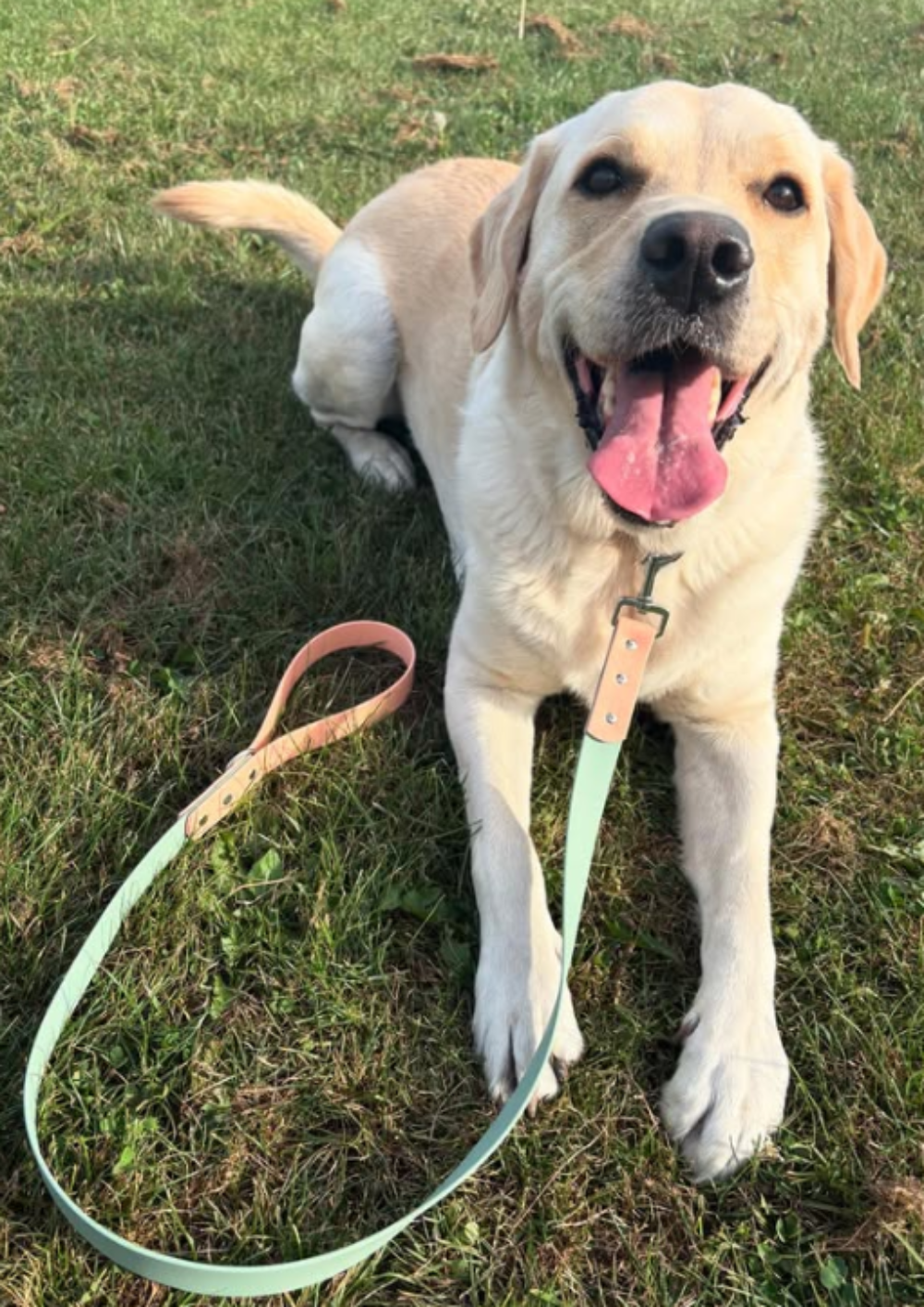 Waterproof BioThane® Collar and Lead Set - Dual Toned