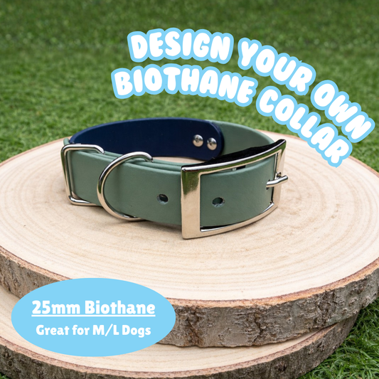 Design Your Own Biothane Standard Collar (25mm Width)