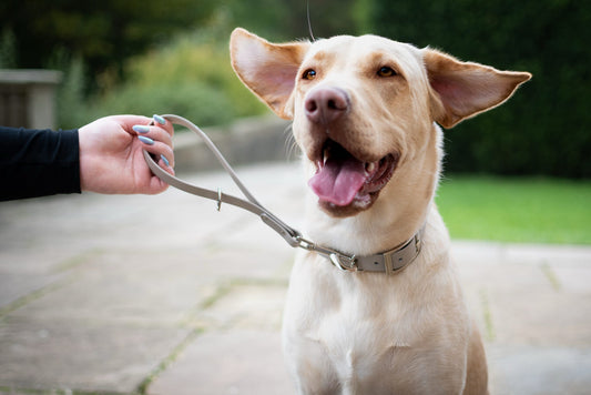 Waterproof BioThane® Grab Handle