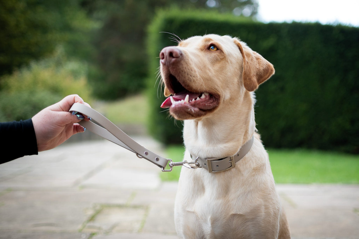 Waterproof BioThane® Grab Handle