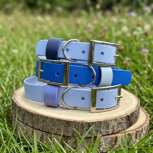 Colour POP! Collar - Biothane Dog Collar