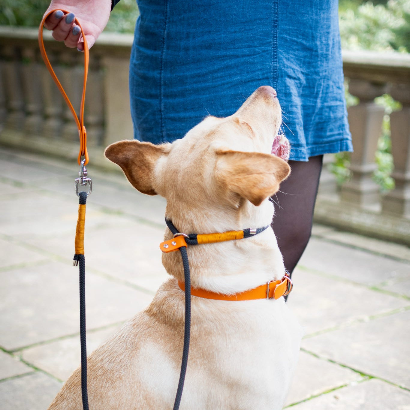 Black Premium Rope Slip Lead with BioThane® Handle