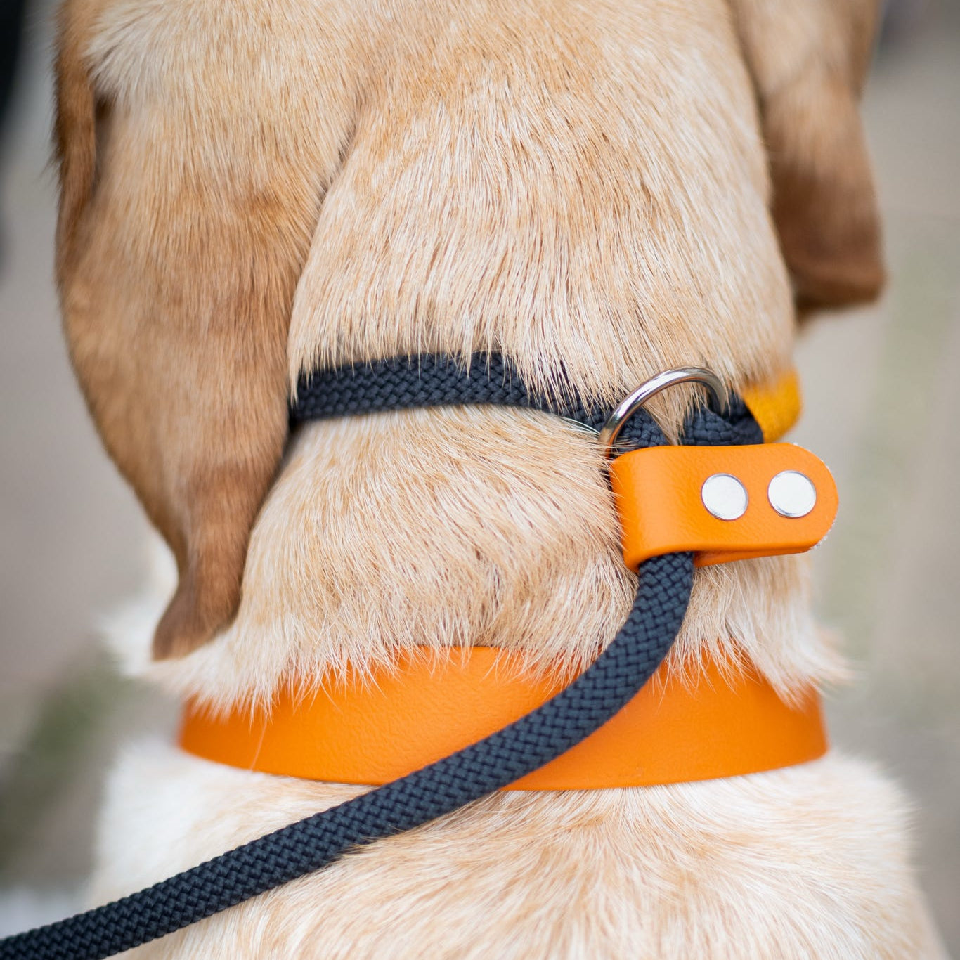 Black Premium Rope Slip Lead with BioThane® Handle