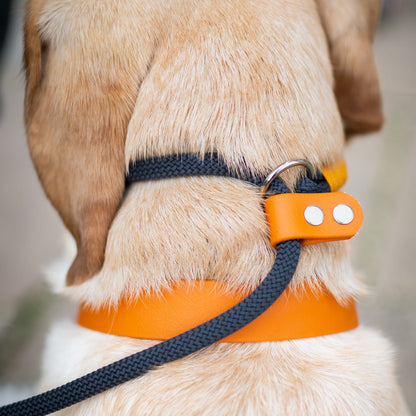 Black Premium Rope Slip Lead with BioThane® Handle