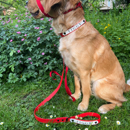 Custom Name Plate Waterproof BioThane® Dog Lead