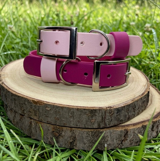 Colour POP! Collar - Biothane Dog Collar