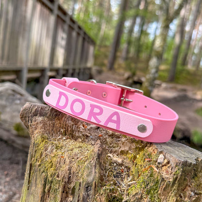 Signature Colour POP! Collar - Personalised Biothane Collar