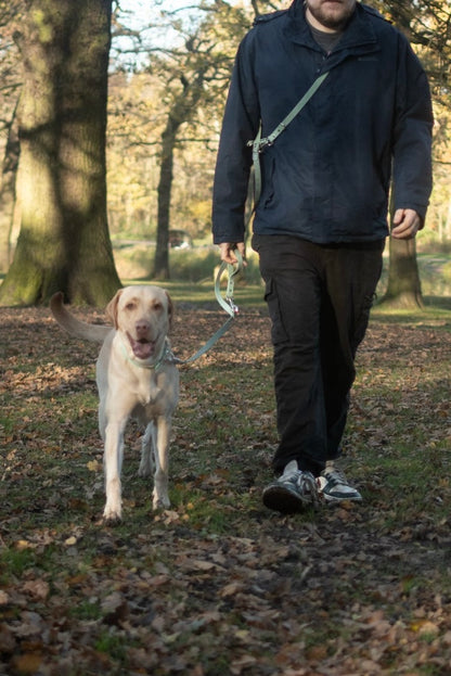 Hands-Free, Mutli-Way Waterproof BioThane® 2.5m Lead