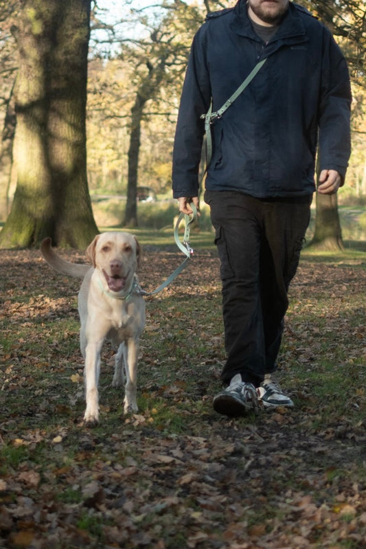 Hands-Free, Mutli-Way Waterproof BioThane® 2.5m Lead