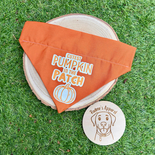 Cutest Pumpkin in the Patch- Halloween Print