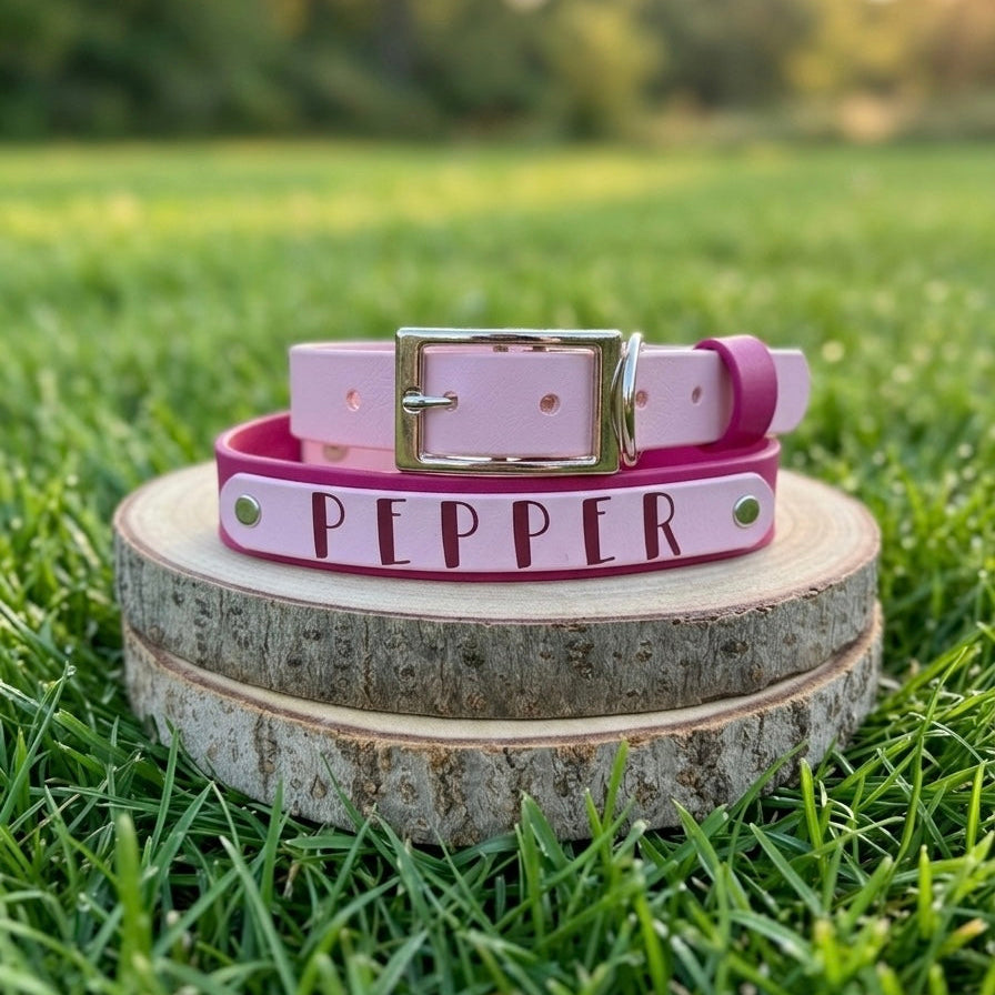 Signature Colour POP! Collar - Personalised Biothane Collar