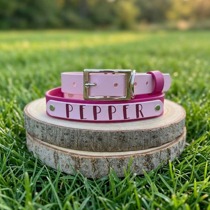 Signature Colour POP! Collar - Personalised Biothane Collar