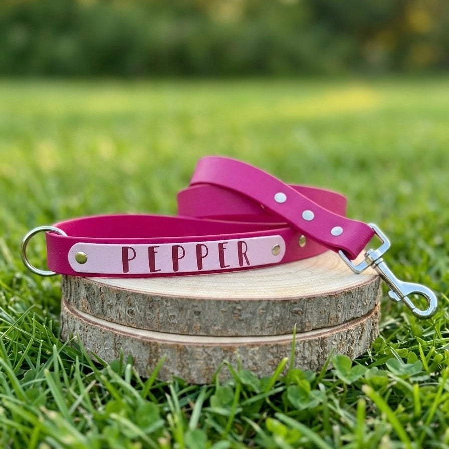 Custom Name Plate Waterproof BioThane® Dog Lead