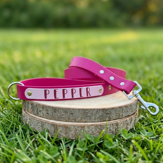 Custom Name Plate Waterproof BioThane® Dog Lead