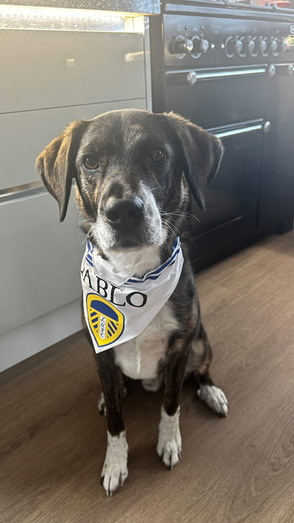 Custom Sports Team Bandana