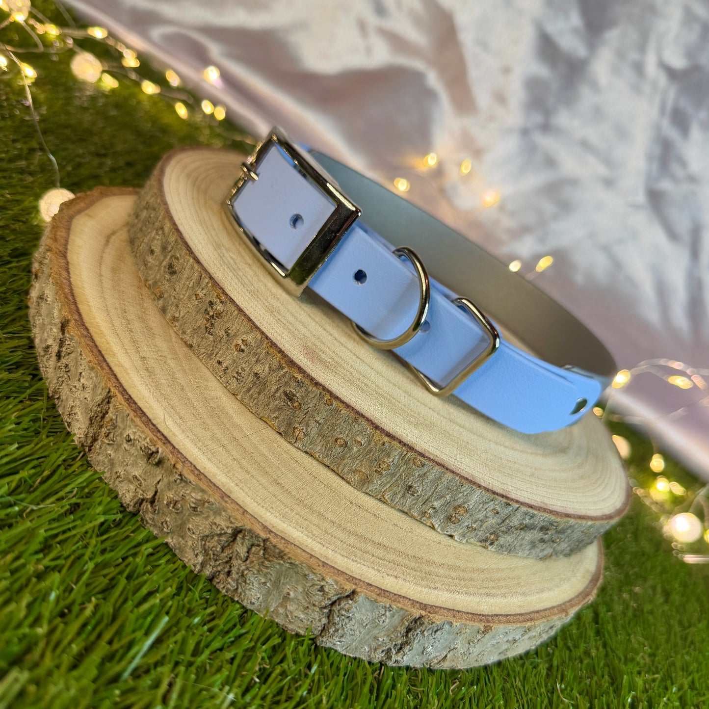 Frosty Paws - Christmas Biothane Collar / Collar & Lead Set