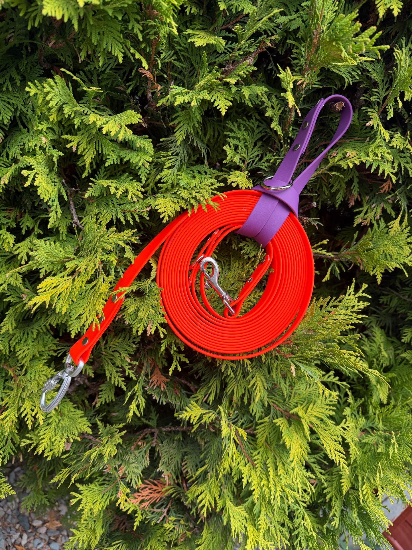 Biothane Long Lead 5m-10m