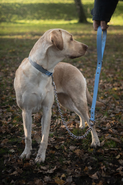 Chain Dog Lead with BioThane® Handle