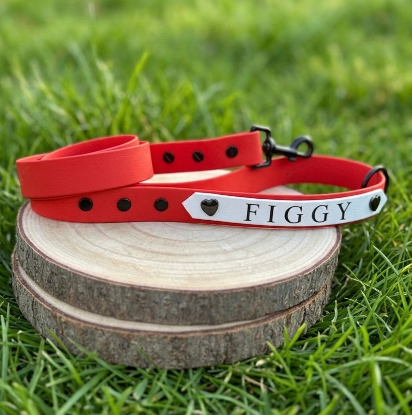 Custom Name Plate Waterproof BioThane® Dog Lead