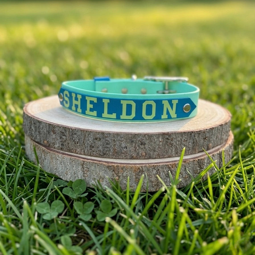 Signature Colour POP! Collar - Personalised Biothane Collar