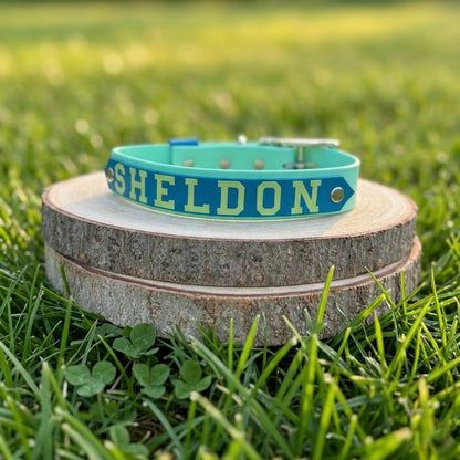 Signature Colour POP! Collar - Personalised Biothane Collar