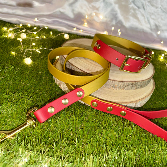 Santa’s Slay - Christmas Biothane Collar / Collar & Lead Set