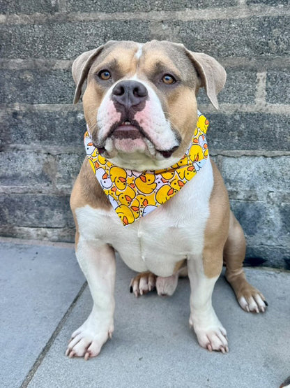 Duck Yeah! - Bandana