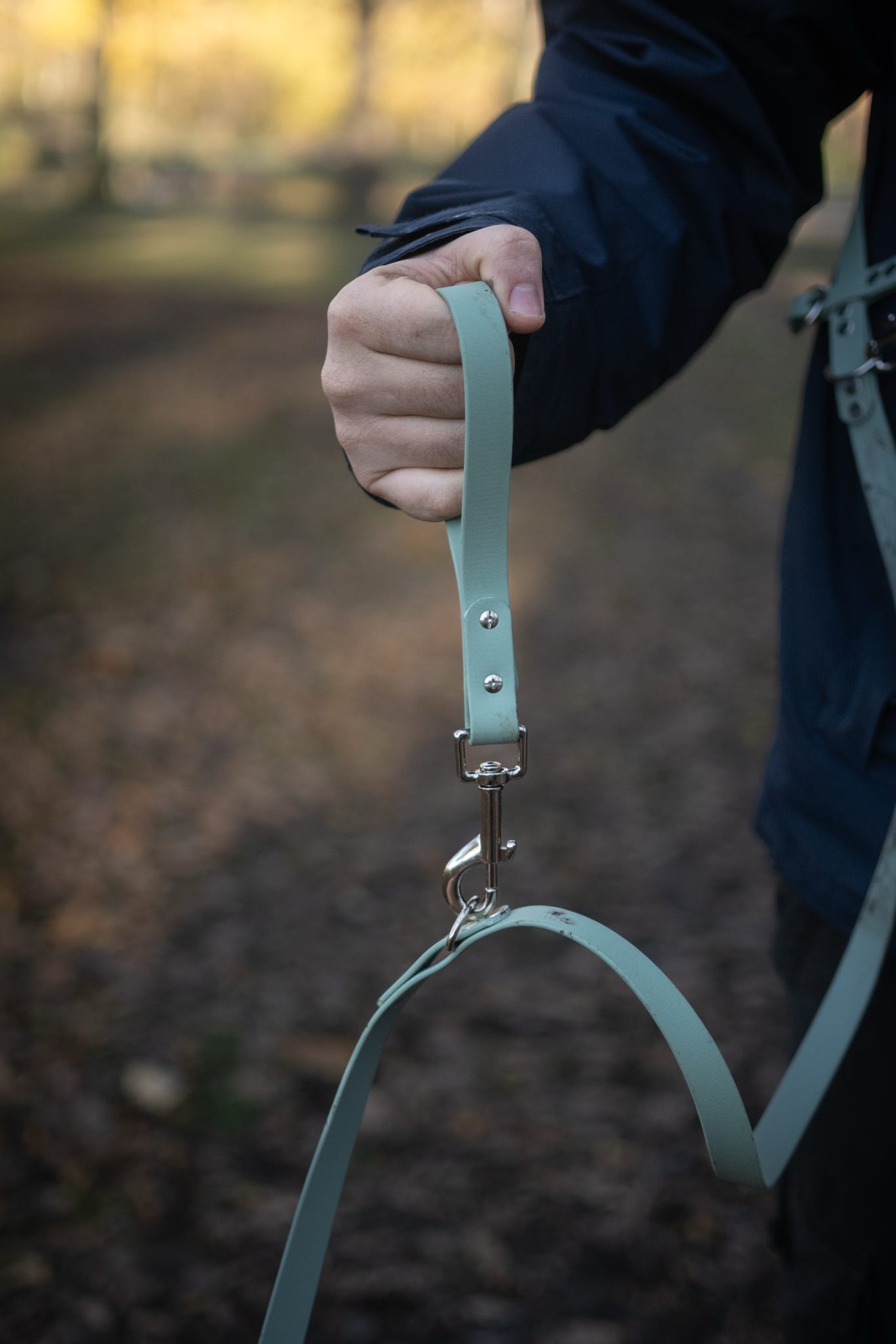 Hands-Free, Mutli-Way Waterproof BioThane® 2.5m Lead