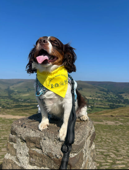 Custom Branded Bandana