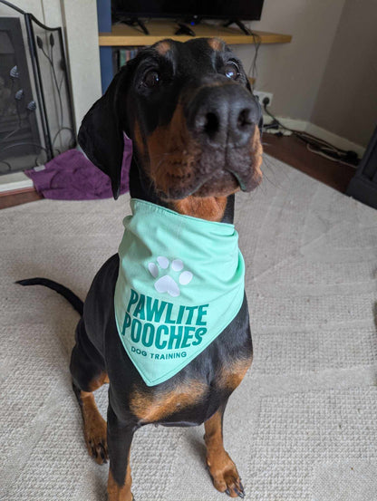 Custom Branded Bandana