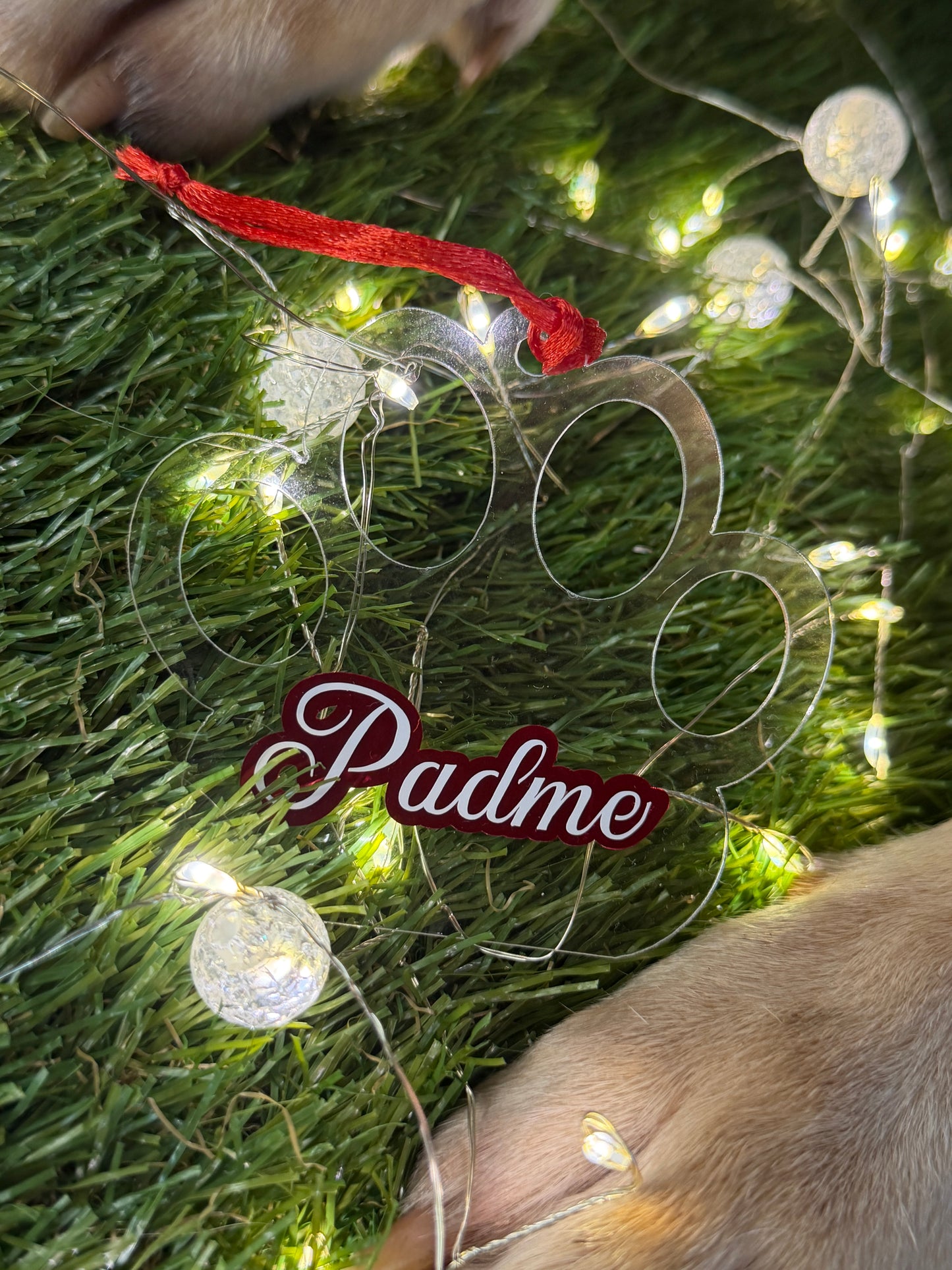 Santa Paw's Gift Box