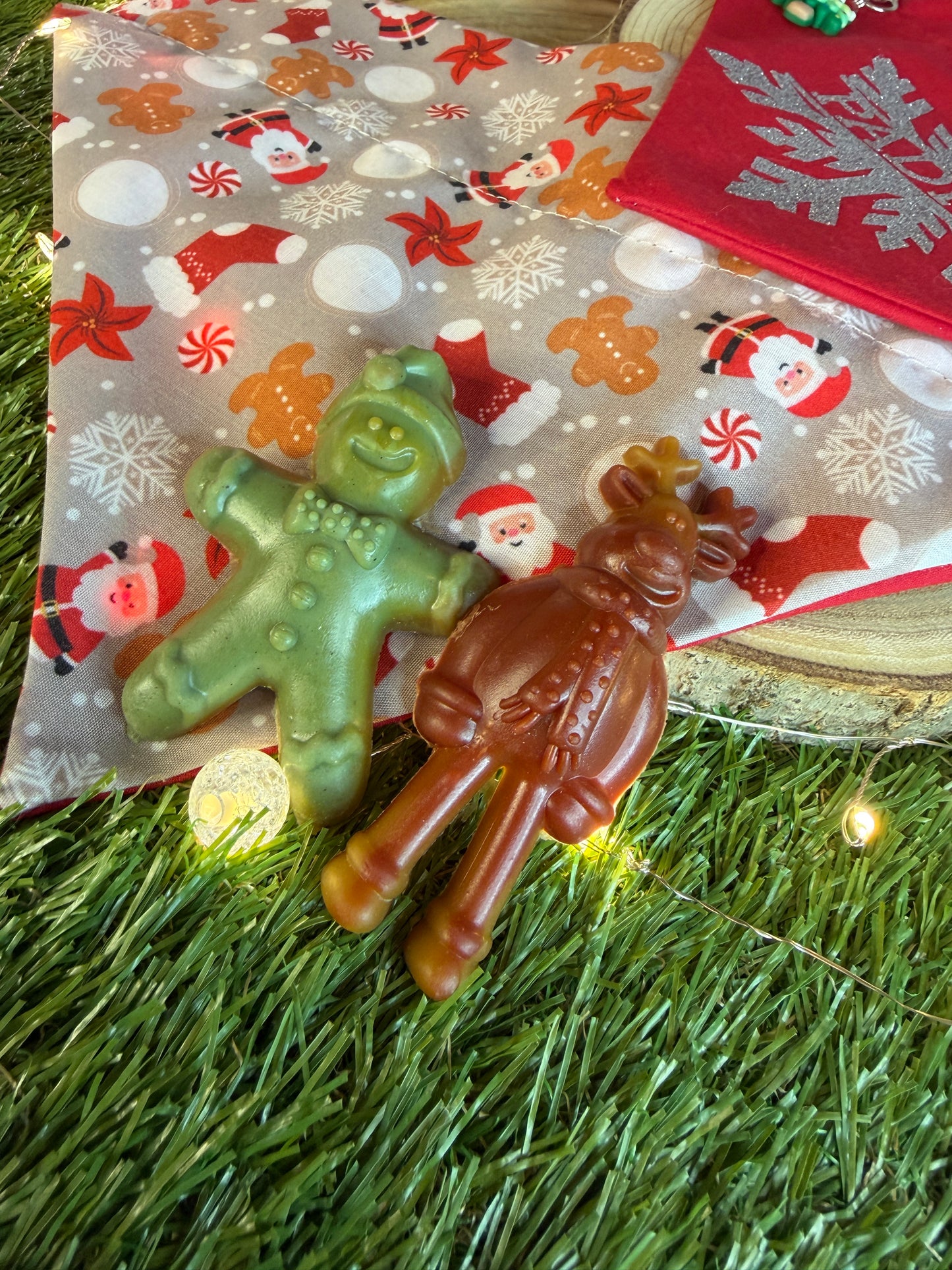 Santa Paw's Gift Box