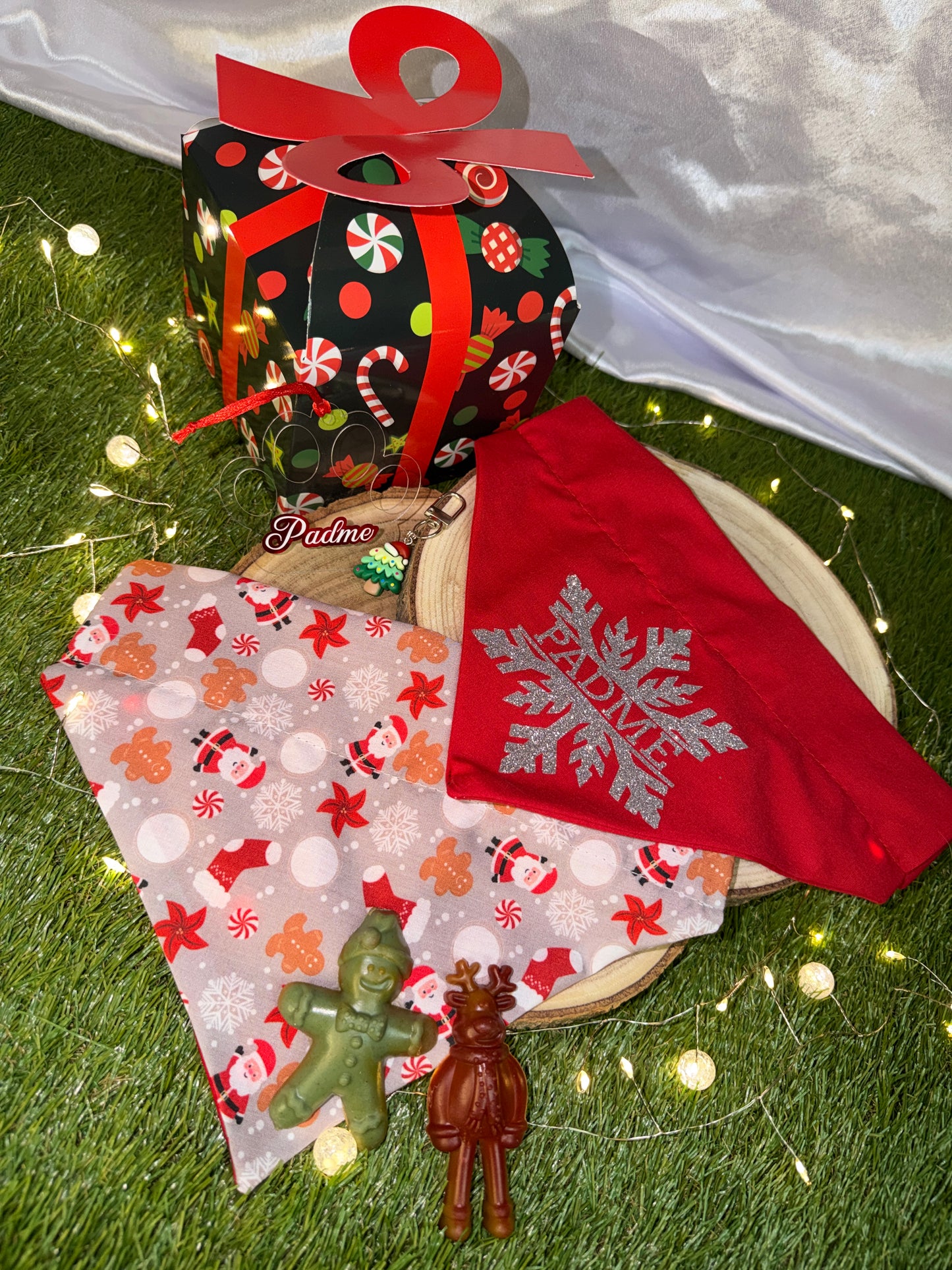 Santa Paw's Gift Box