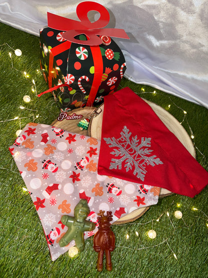Santa Paw's Gift Box