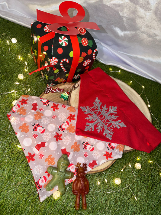 Santa Paw's Gift Box