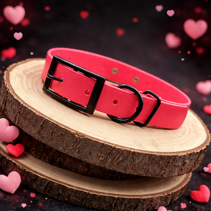 Chaos & Cuddles - Valentines Biothane Collar / Collar & Lead Set
