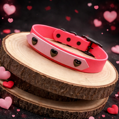 Chaos & Cuddles - Valentines Biothane Collar / Collar & Lead Set