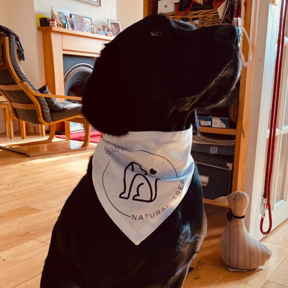 Custom Branded Bandana