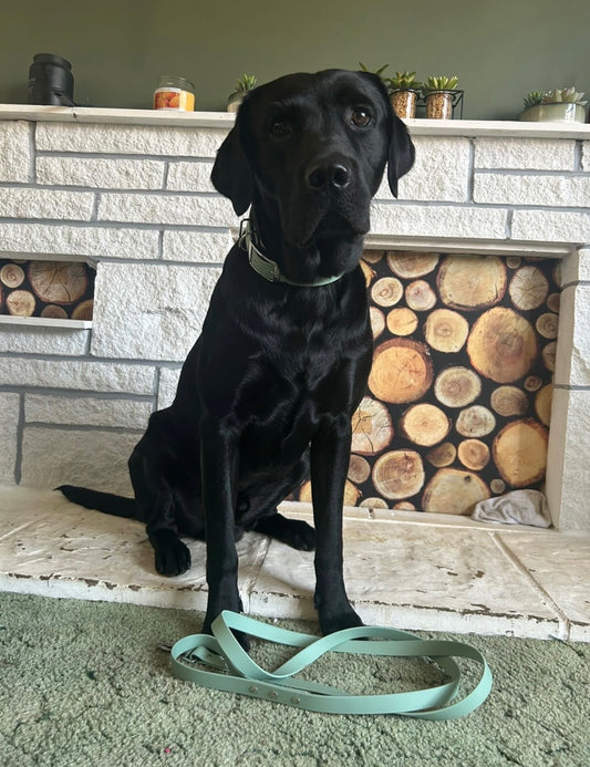 Waterproof BioThane® Dog Lead