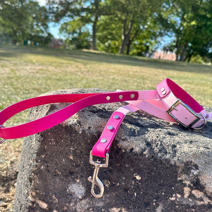 Waterproof BioThane® Collar and Lead Set - Dual Toned