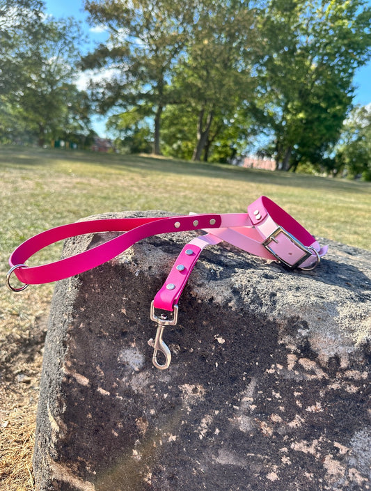 Dual Tone Waterproof BioThane® Collar and Lead Set