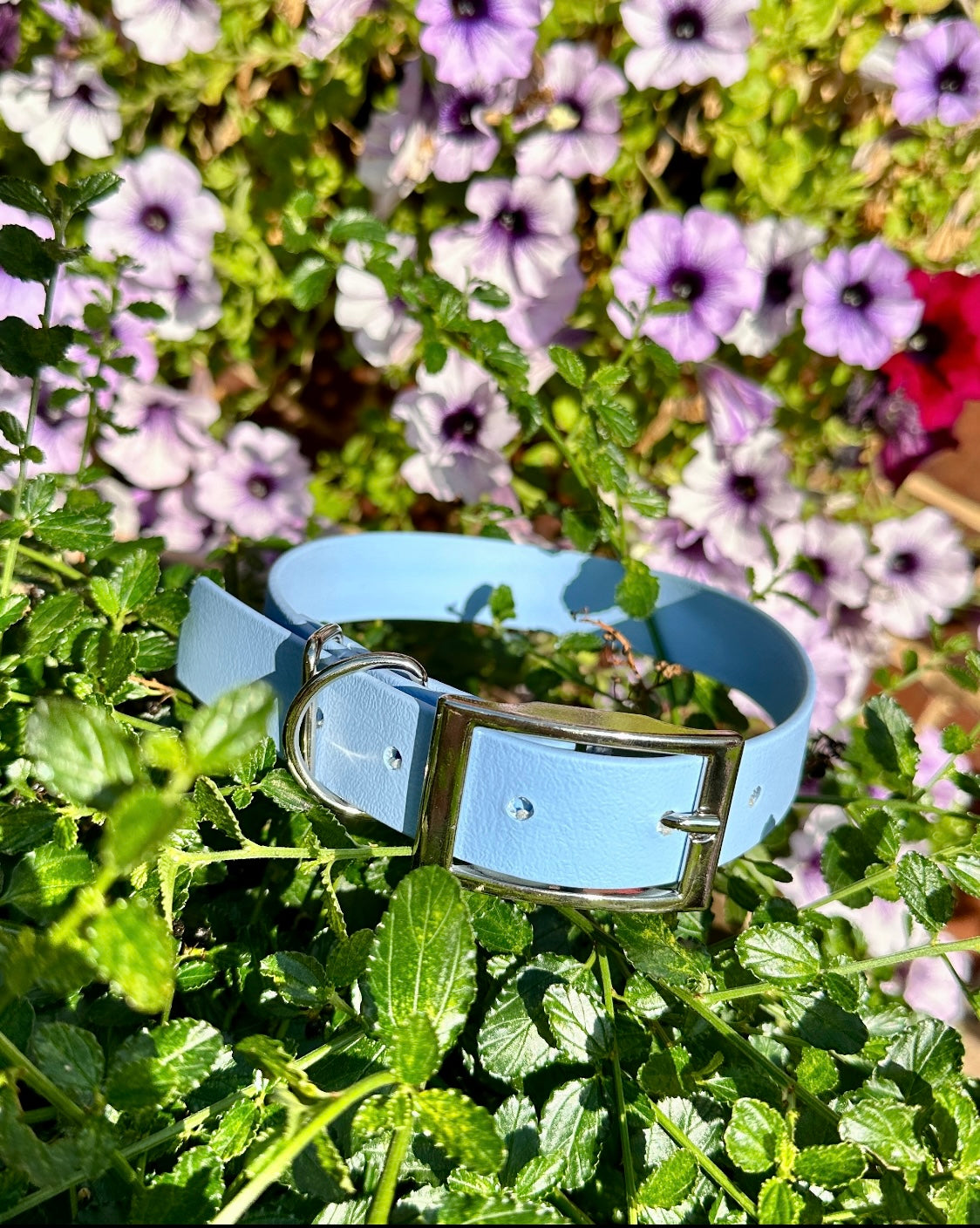 Waterproof BioThane® Collar
