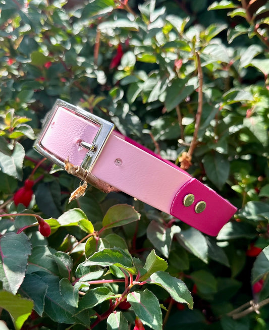 Dual Tone  Waterproof BioThane® Collar
